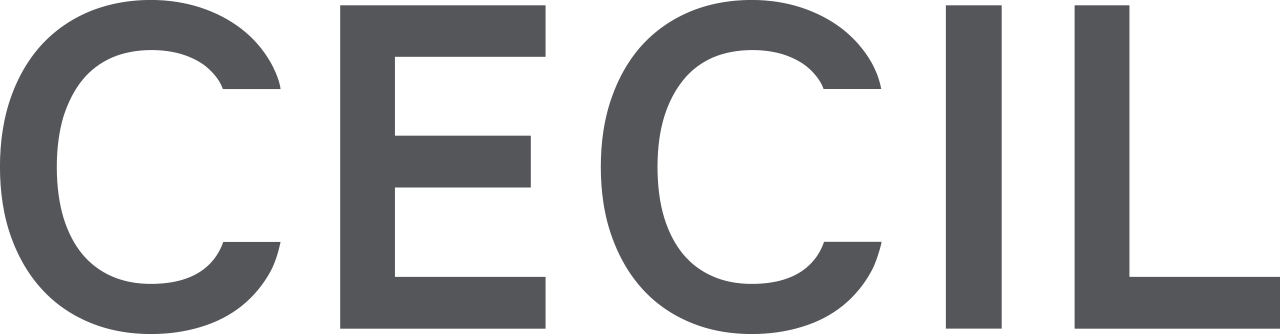 CECIL STORE FREIBURG Logo